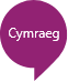 Welsh language speaker